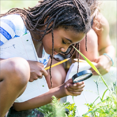 Topic STEAM web mockup v7 STEAM right img